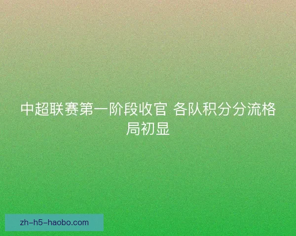 中超联赛第一阶段收官 各队积分分流格局初显