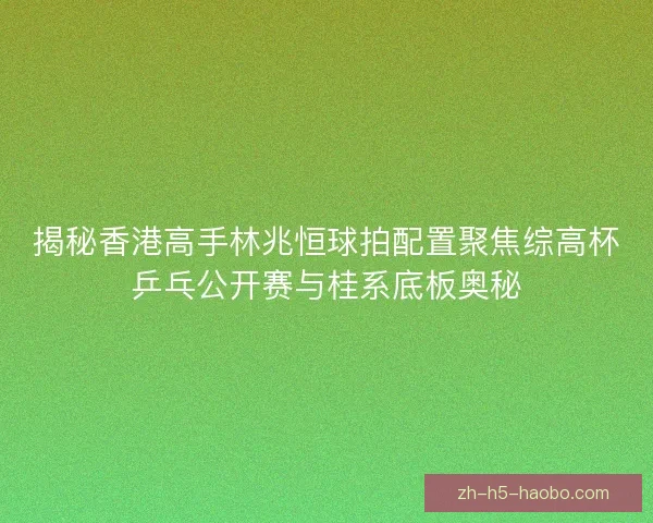 揭秘香港高手林兆恒球拍配置聚焦综高杯乒乓公开赛与桂系底板奥秘